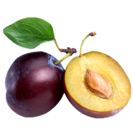 large plum png - Free PNG Images | TOPpng